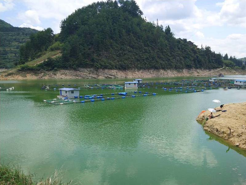 怎么快速去除氨氮-氨氮超标的解决方法