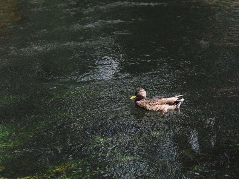 水质重金属检测设备哪种好（水质重金属检测设备厂家）