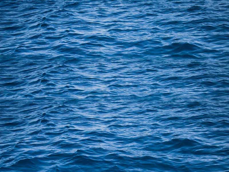 总氮快速检测仪有检测误差的原因（总氮快速检测仪厂家）