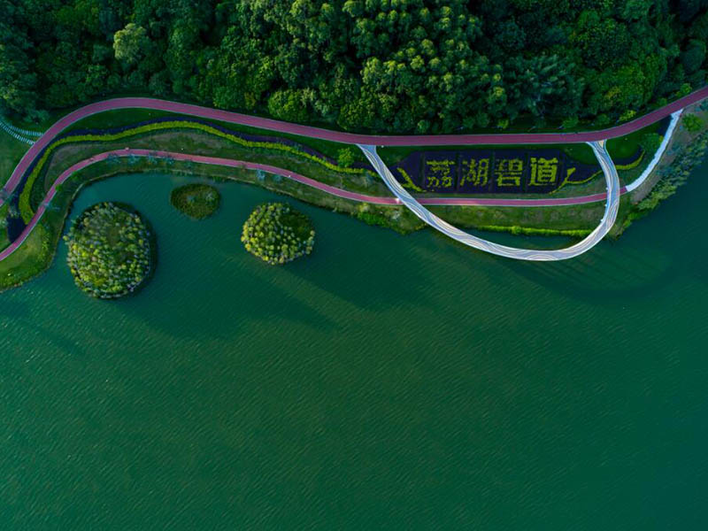 酶底物法检测粪大肠菌群的原理（水质粪大肠菌群的检测流程）